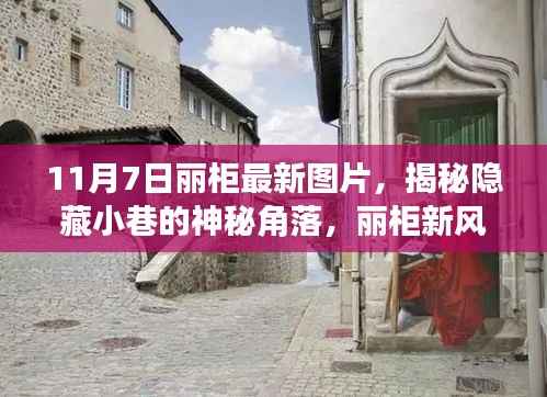 揭秘神秘角落,丽柜新风尚独家美图欣赏——11月7日最新图片曝光