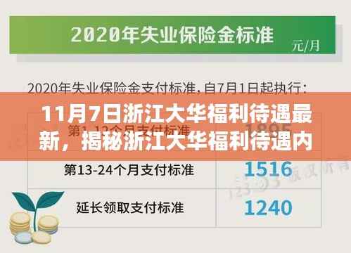 揭秘浙江大华福利待遇内幕,最新动态与深度解读(更新至11月7日)