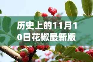 探寻花椒平台发展历程,11月10日版本更新特色回顾与解析