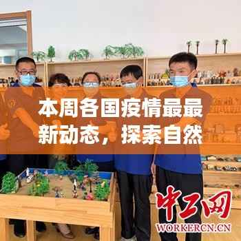 花开无言 第7页