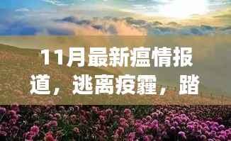 11月最新疫情动态下的心灵与自然之旅,逃离疫霾,踏遍美景