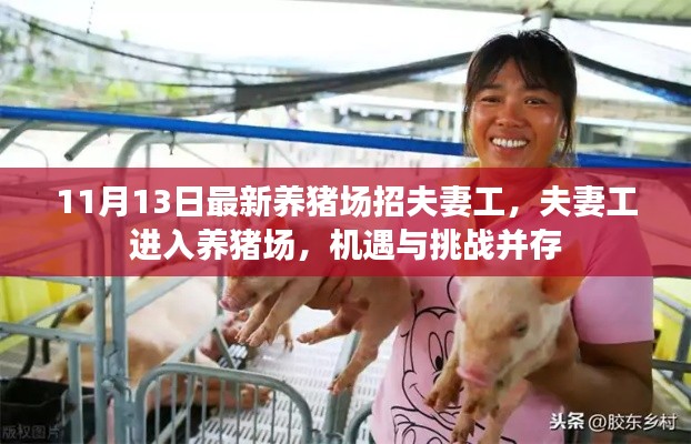 养猪场夫妻工招募,机遇与挑战并存的职场新选择