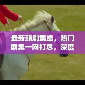 最新韩剧集结,热门剧集一网打尽,深度解析引领追剧热潮