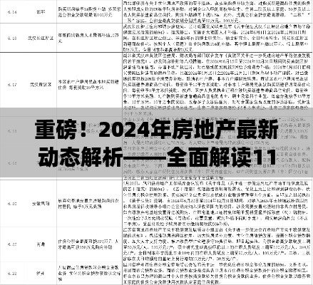 重磅!2024年房地产最新动态解析——全面解读11月14日房地产新闻