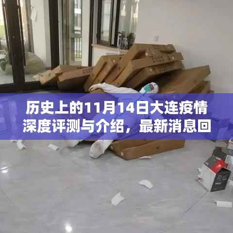 历史上的11月14日大连疫情深度评测与介绍,最新消息回顾