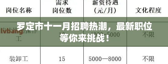 罗定市十一月招聘热潮,最新职位等你来挑战!