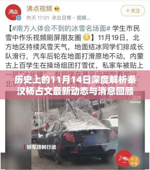 历史上的11月14日深度解析秦汉杨占文最新动态与消息回顾