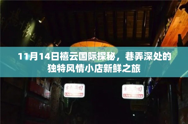 11月14日禧云国际探秘,巷弄深处的独特风情小店新鲜之旅