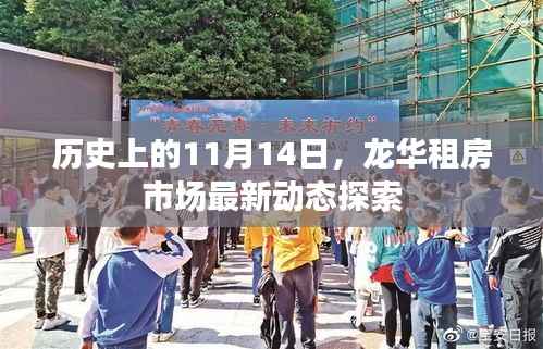 历史上的11月14日,龙华租房市场最新动态探索