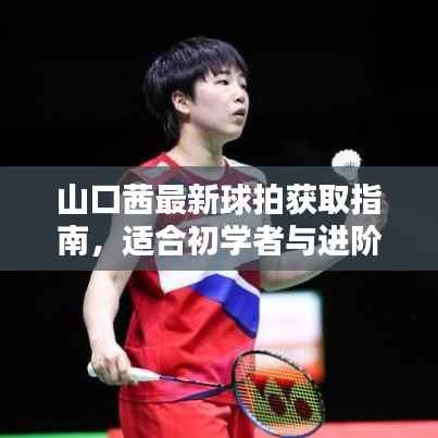 山口茜最新球拍获取指南,适合初学者与进阶用户的全面步骤指南(往年11月15日版)