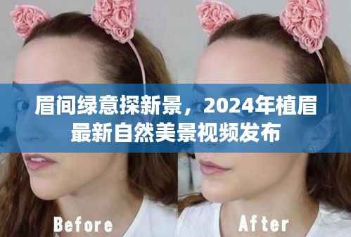 铺张扬厉 第5页