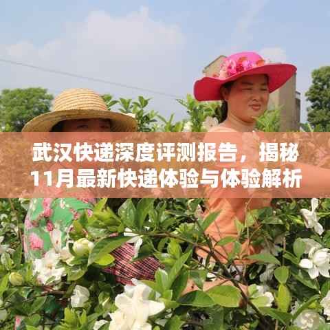 武汉快递深度评测报告,揭秘11月最新快递体验与体验解析