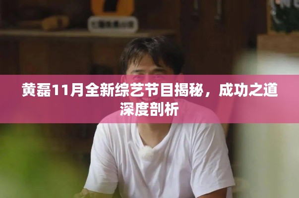 黄磊11月全新综艺节目揭秘,成功之道深度剖析