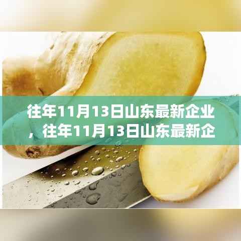 山东最新企业评测报告,产品特性、用户体验与目标用户群体的全面解读(日期,往年11月13日)