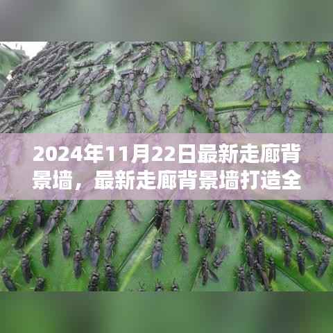 2024年走廊背景墙打造全攻略,一步步成为装修达人