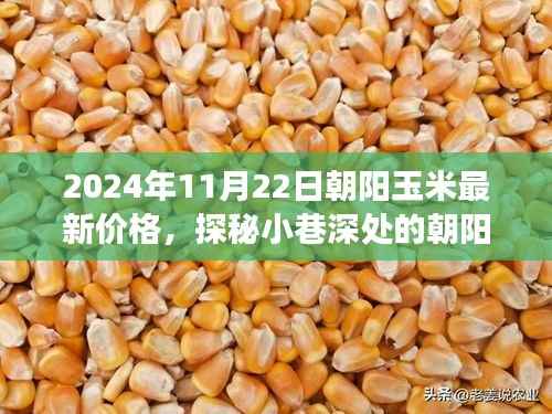 2024年11月22日朝阳玉米最新价格,探秘小巷深处的朝阳玉米宝藏,最新价格背后的美味故事