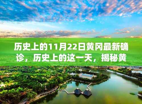 揭秘黄冈历史确诊背后的故事,11月22日黄冈最新确诊回顾