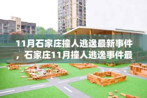 石家庄11月撞人逃逸事件最新进展揭秘,处理步骤与技能学习指南全解析