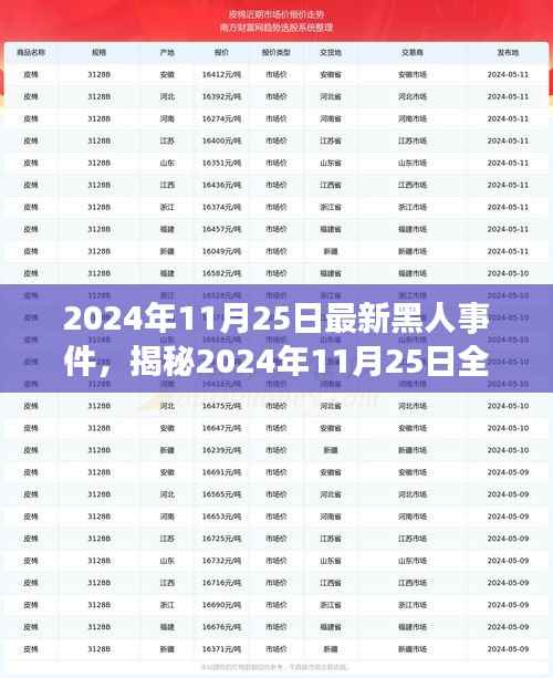揭秘全球最新黑人事件,深度探讨背后的意义与影响(2024年11月25日最新报道)