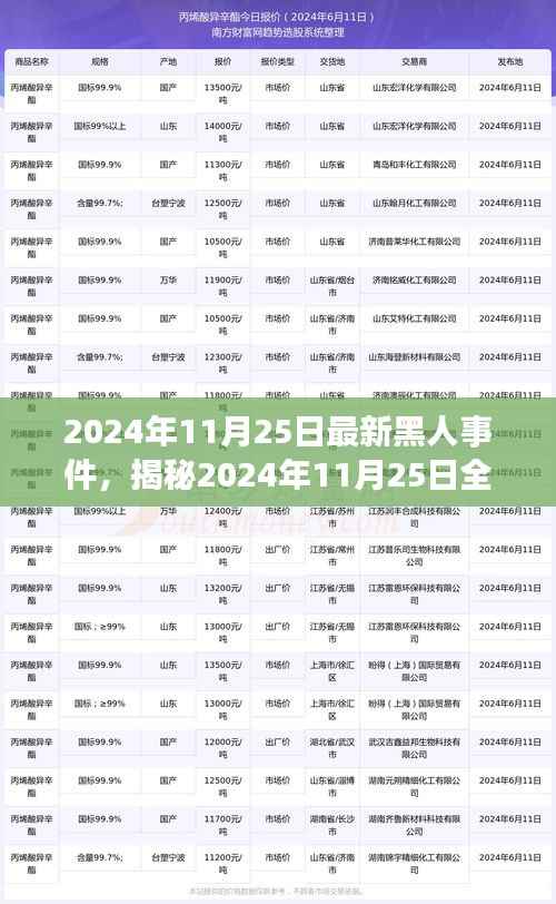 揭秘全球最新黑人事件,深度探讨背后的意义与影响(2024年11月25日最新报道)