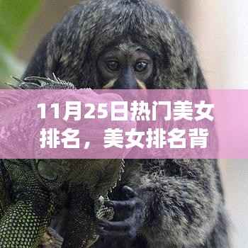 美女排名背后的暖心日常,友情、陪伴与爱的故事