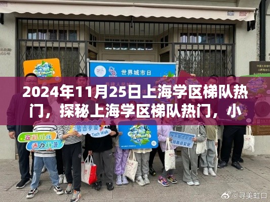 探秘上海学区梯队热门,小巷深处的独特风味,2024年11月25日的奇遇。