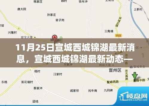 宣城西城锦湖最新动态解析,深度了解锦湖最新消息——11月25日
