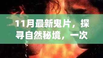 11月最新鬼片探寻秘境之旅,唤醒内心的宁静与微笑