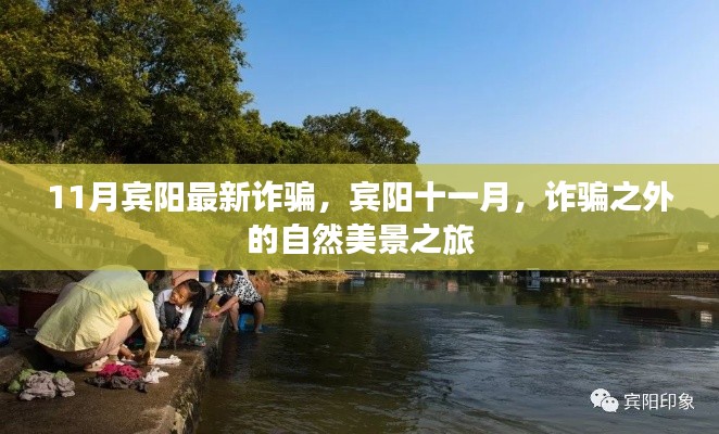 宾阳最新诈骗揭秘与十一月自然美景之旅