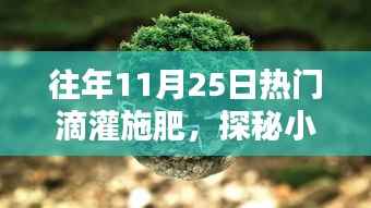 探秘绿色秘密,神奇滴灌施肥小店的秘籍分享