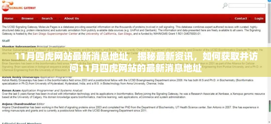 揭秘四虎网站最新资讯,如何获取并访问最新消息地址?
