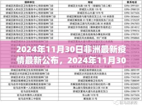 全球关注下的非洲疫情动态,防控进展与挑战,最新疫情报告发布于2024年11月30日