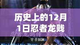 历史上的12月1日,忍者龙贱传最新探险之旅,探寻自然秘境与内心平和之地