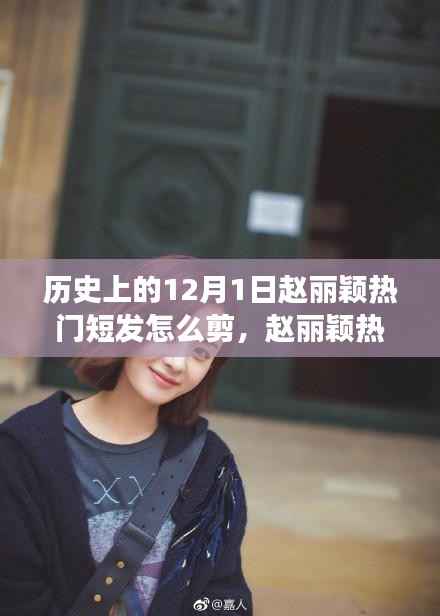 赵丽颖热门短发解析与剪发指南，历史发型演变与剪发技巧，12月1日特别关注