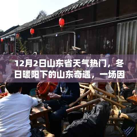 鸟入樊笼 第3页