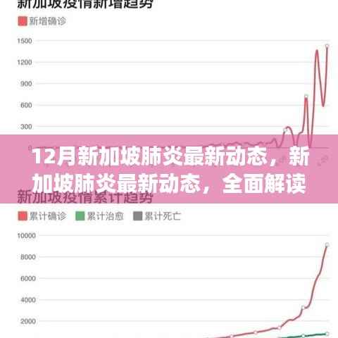 全面解读与观点分析,新加坡肺炎最新动态(12月更新)