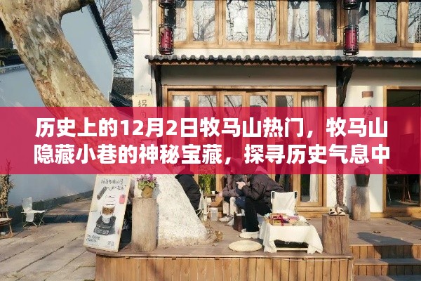 牧马山隐藏小巷的神秘宝藏,探寻历史气息中的特色小店之旅——12月2日热门回顾