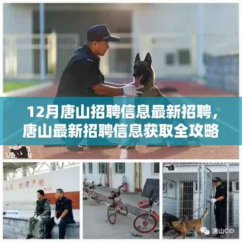唐山最新招聘信息获取全攻略,入门到精通,轻松找到心仪工作!