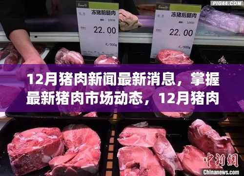 12月猪肉市场动态,最新消息、全方位解读与应对指南