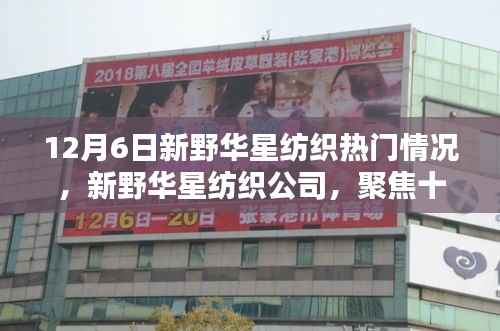 独学寡闻 第3页