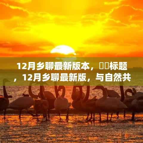 12月乡聊最新版,与自然共舞的心灵港湾