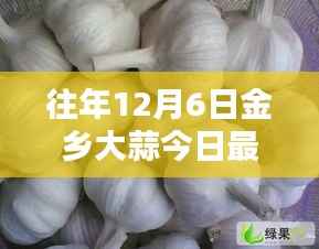 往年12月6日金乡大蒜最新价格评析及市场动态分析