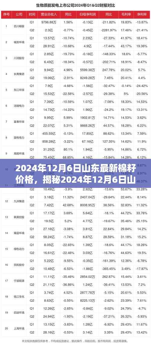 揭秘山东棉籽价格走势，2024年12月6日最新动态与预测分析
