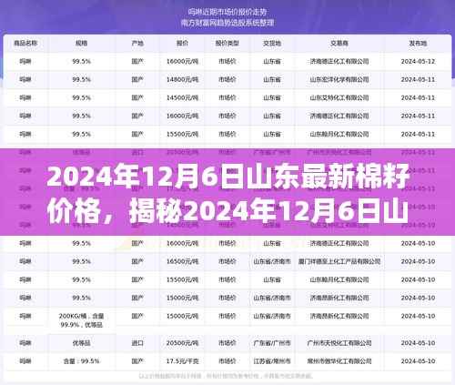 揭秘山东棉籽价格走势,2024年12月6日最新动态与预测分析