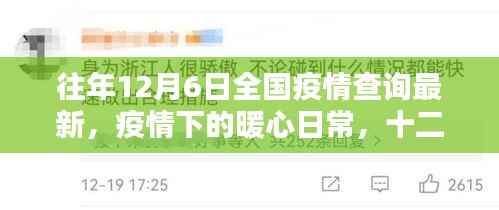 往年12月6日全国疫情查询最新,疫情下的暖心日常,十二月六日的疫情查询与家的温馨时光