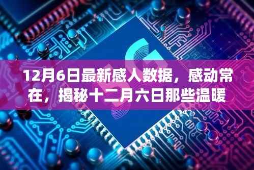 揭秘暖心数字背后的故事,感动常在,十二月六日的感人数据回顾