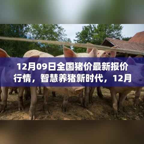 12月09日全国猪价最新报价行情，智慧养猪新时代，12月09日全国猪价智能报价系统引领行业变革