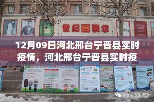 河北邢台宁晋县实时疫情动态深度解析与案例分析(最新更新)
