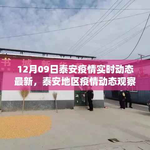 泰安疫情最新实时动态观察与分析,进展、观点与观察