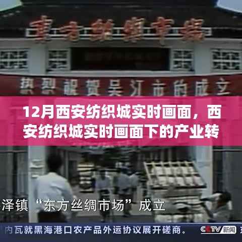 西安纺织城产业转型与未来展望,实时画面下的深度探讨